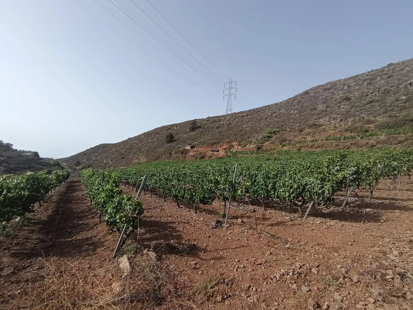 Terreno rustico in vendita a Arico, imagen 11