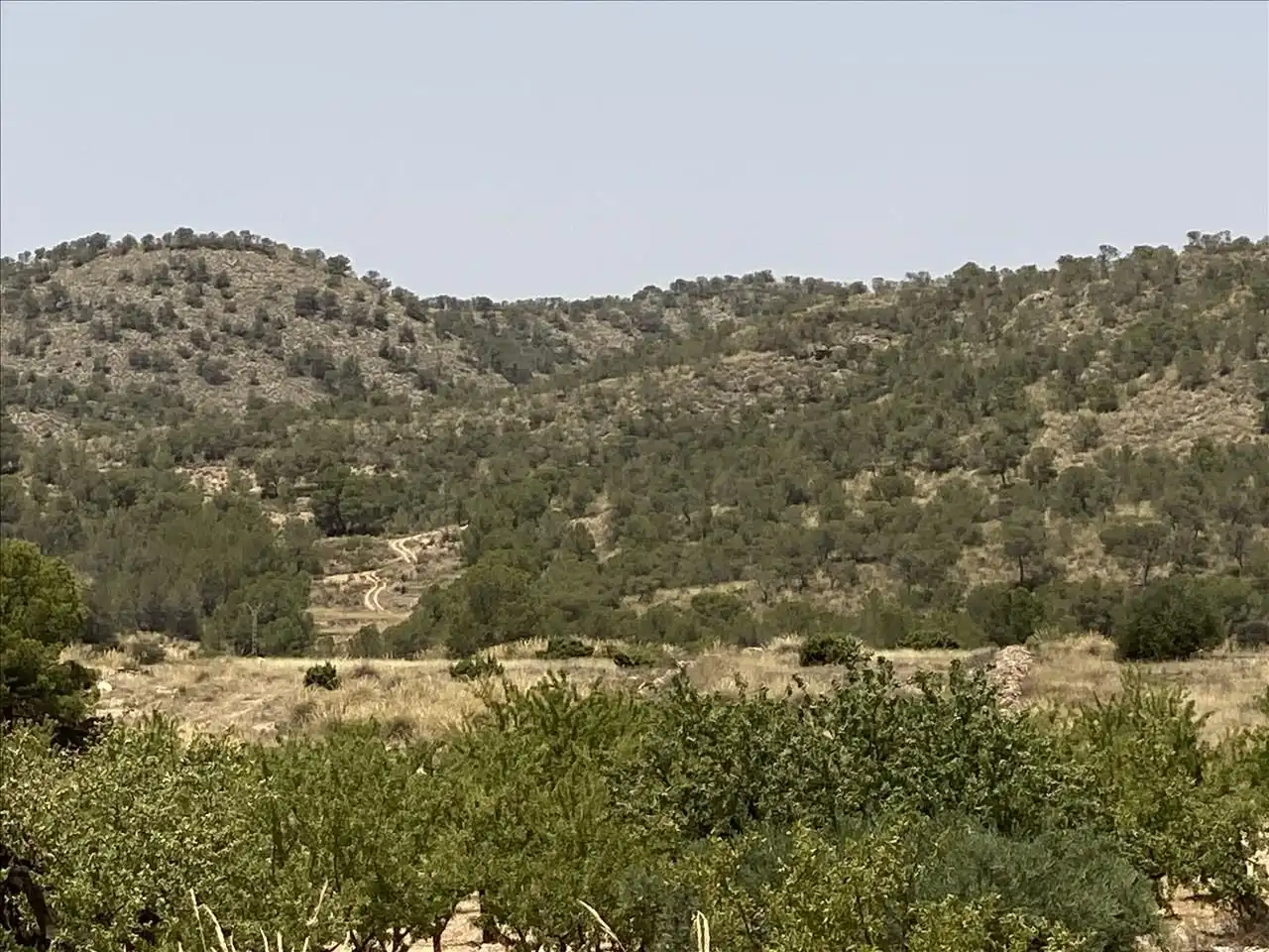 Lands and plots for sale in Poste Abanilla 165, imagen 7