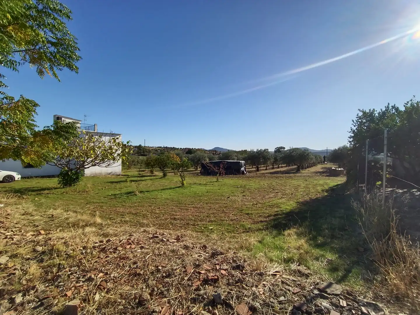 Land for sale in Sur