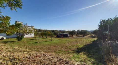 VENTA DE FINCA  EN EL TERMINO MUNICIPAL  DE MERIDA , CON VIVIENDA Y PISCINA ., immagine 3