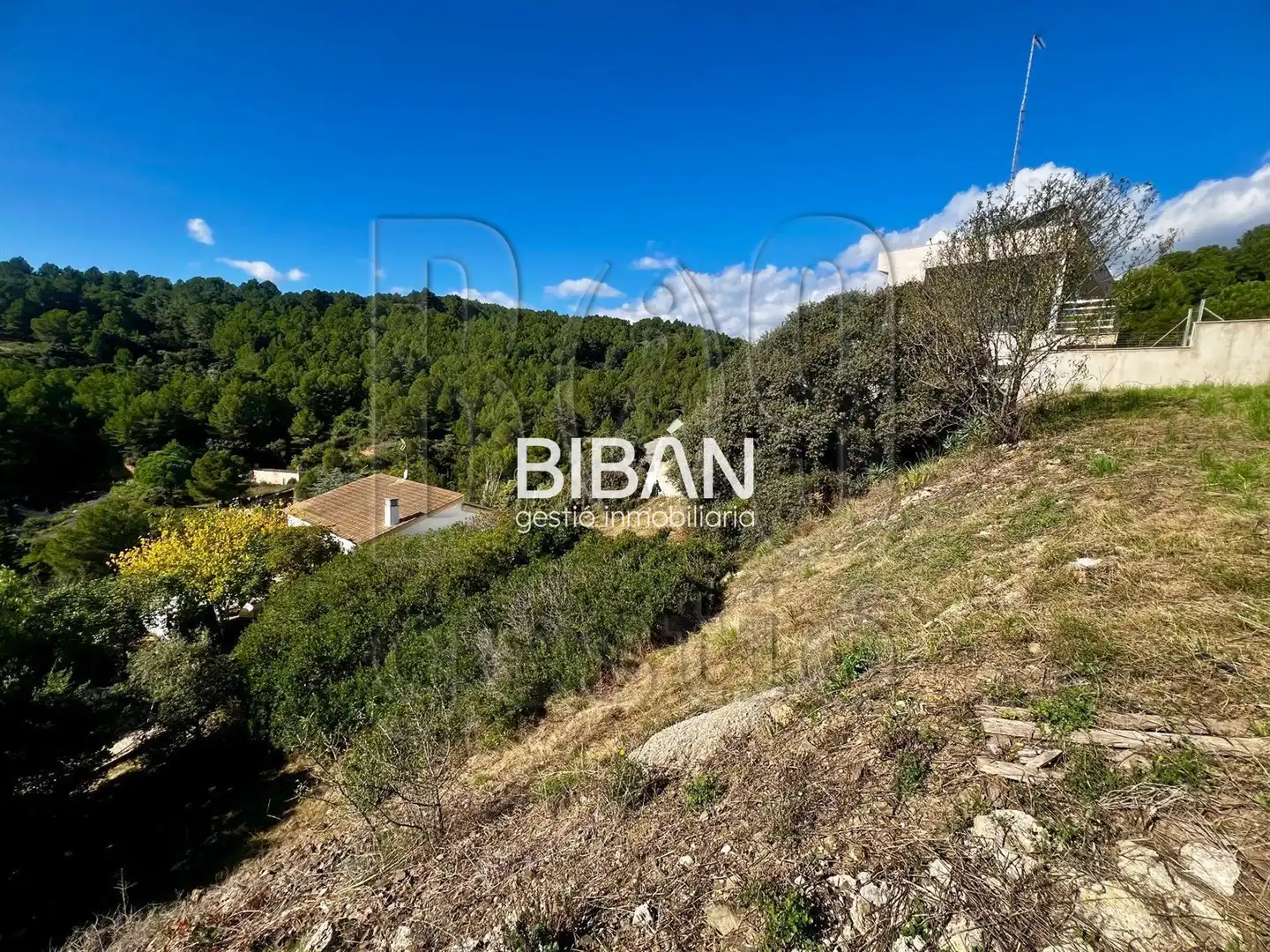 Terreno en venta en Almoster