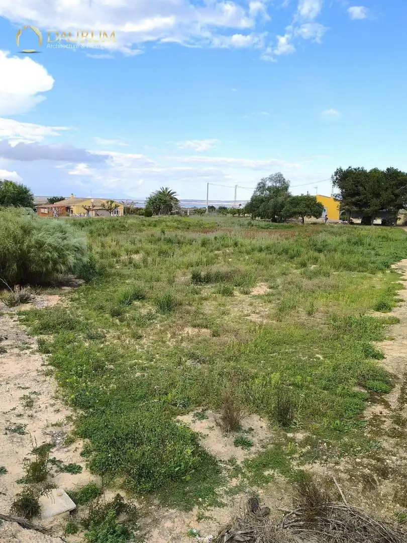 Casa o chalet en venta en Elche / Elx