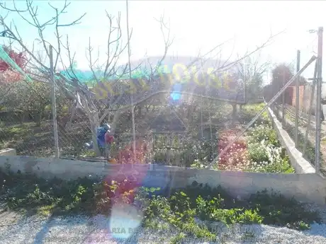 Terreny rústic en venda a Alguazas, imagen 3