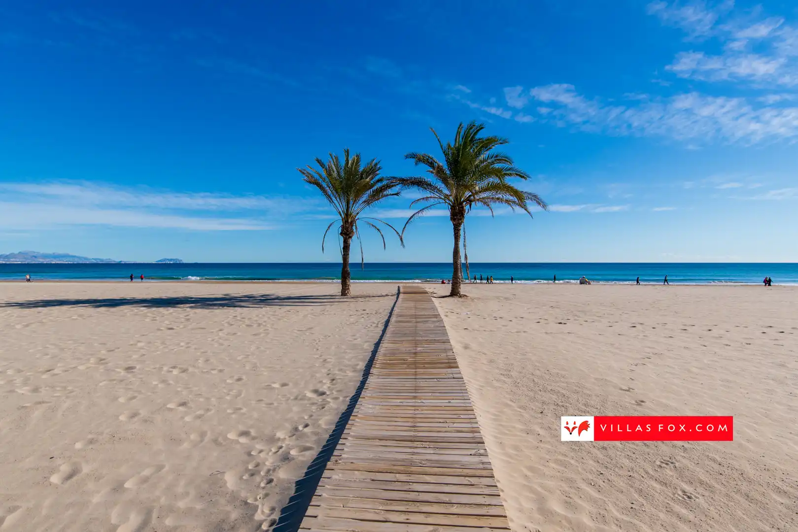 Maison à vendre à San Miguel de Salinas, imagen 69
