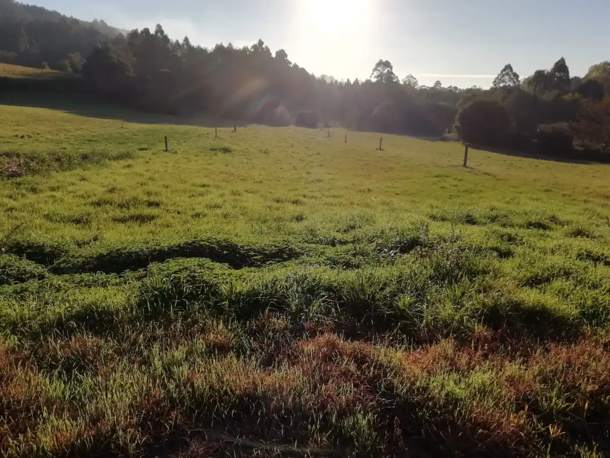 Terreni e lotti in vendita a Lugar O Formigueiro - Laracha, imagen 17