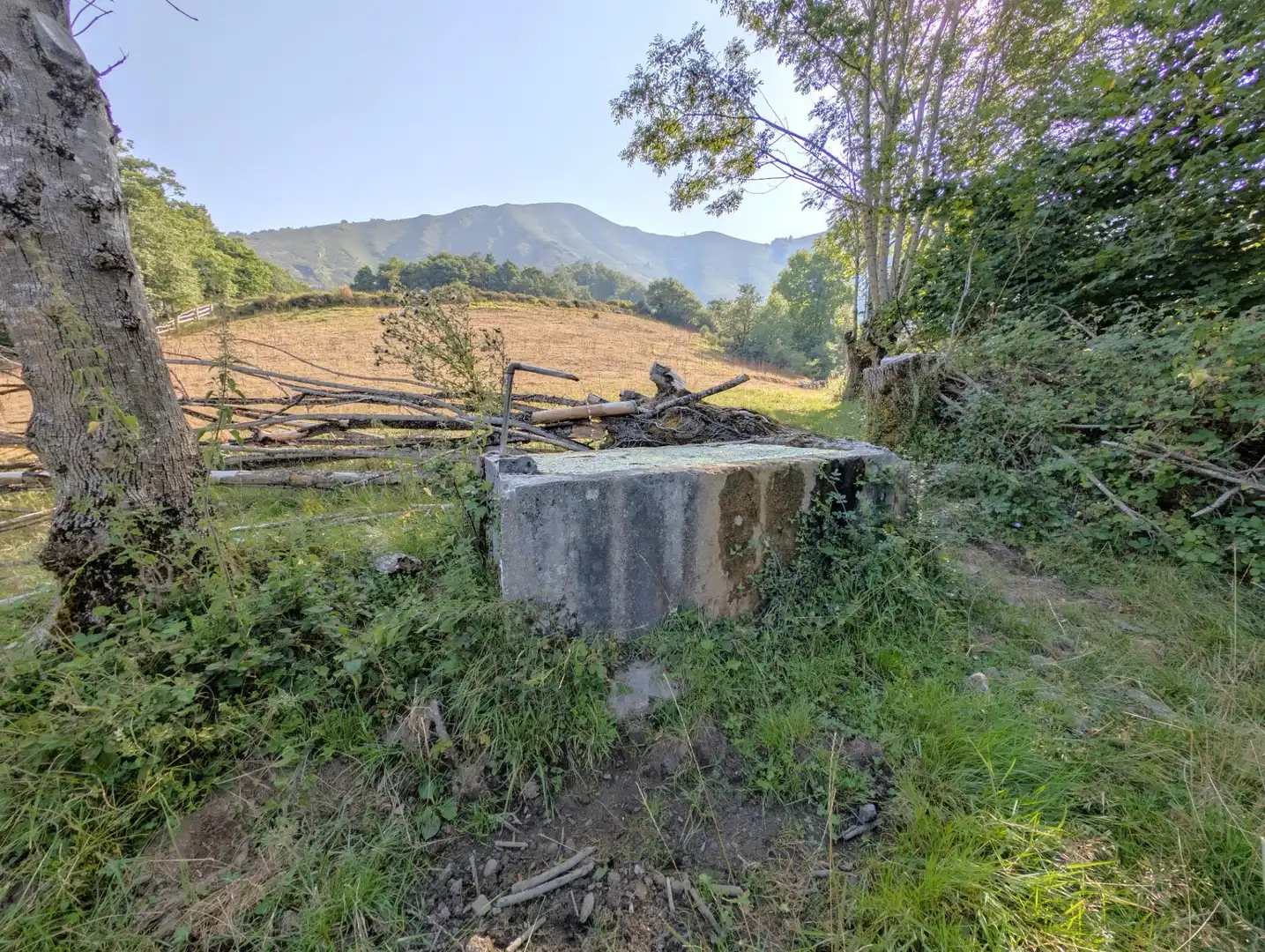 Casa o xalet en venda en Aller amb Jardí privat