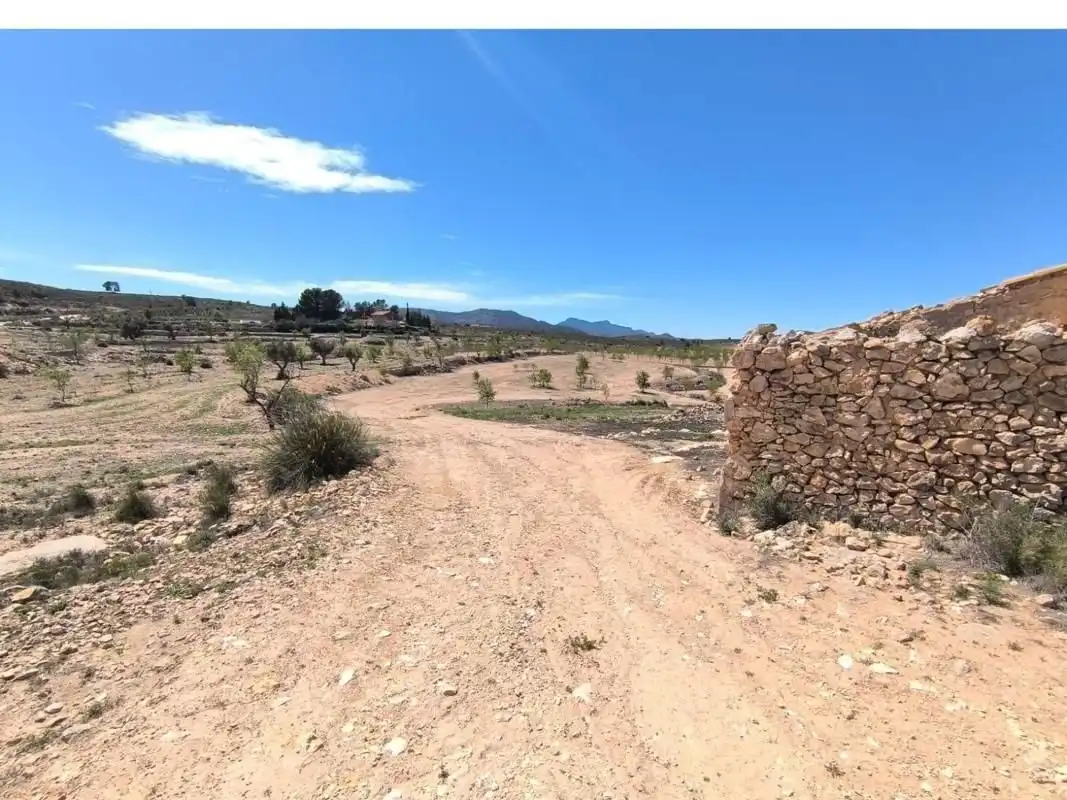 Haus zum Verkauf in El Pinós / Pinoso, imagen 8