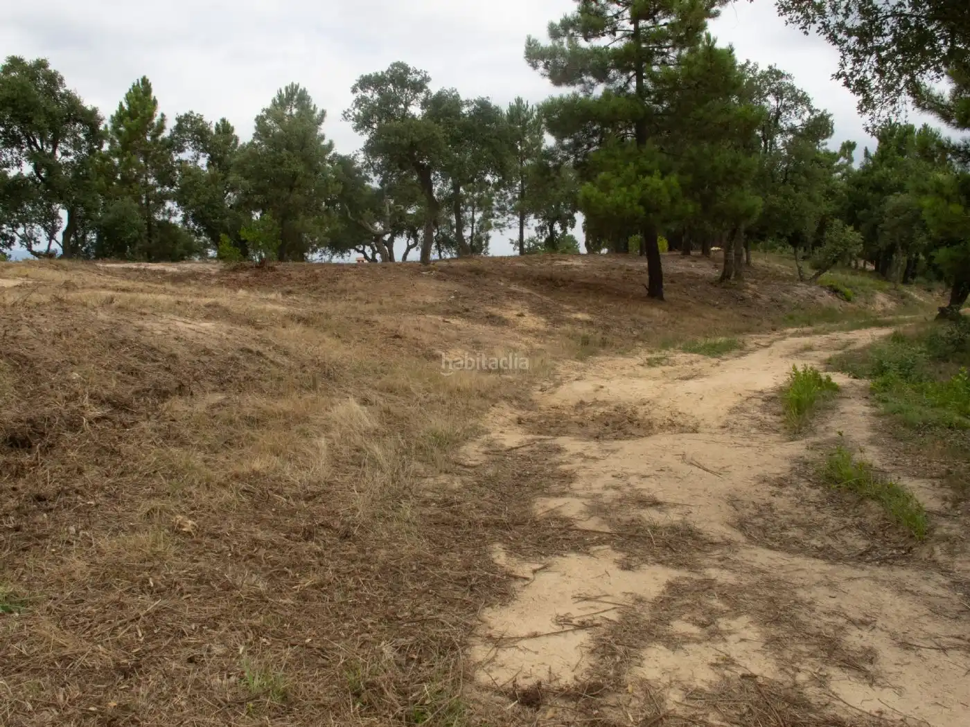 Terreno residencial en venta en Carrer de Sant Marc 129, imagen 9
