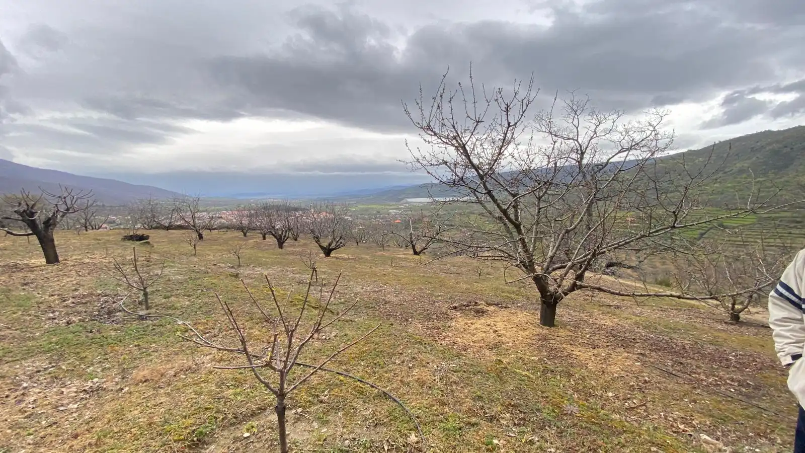 Terreni e lotti in vendita a Hervás, imagen 17