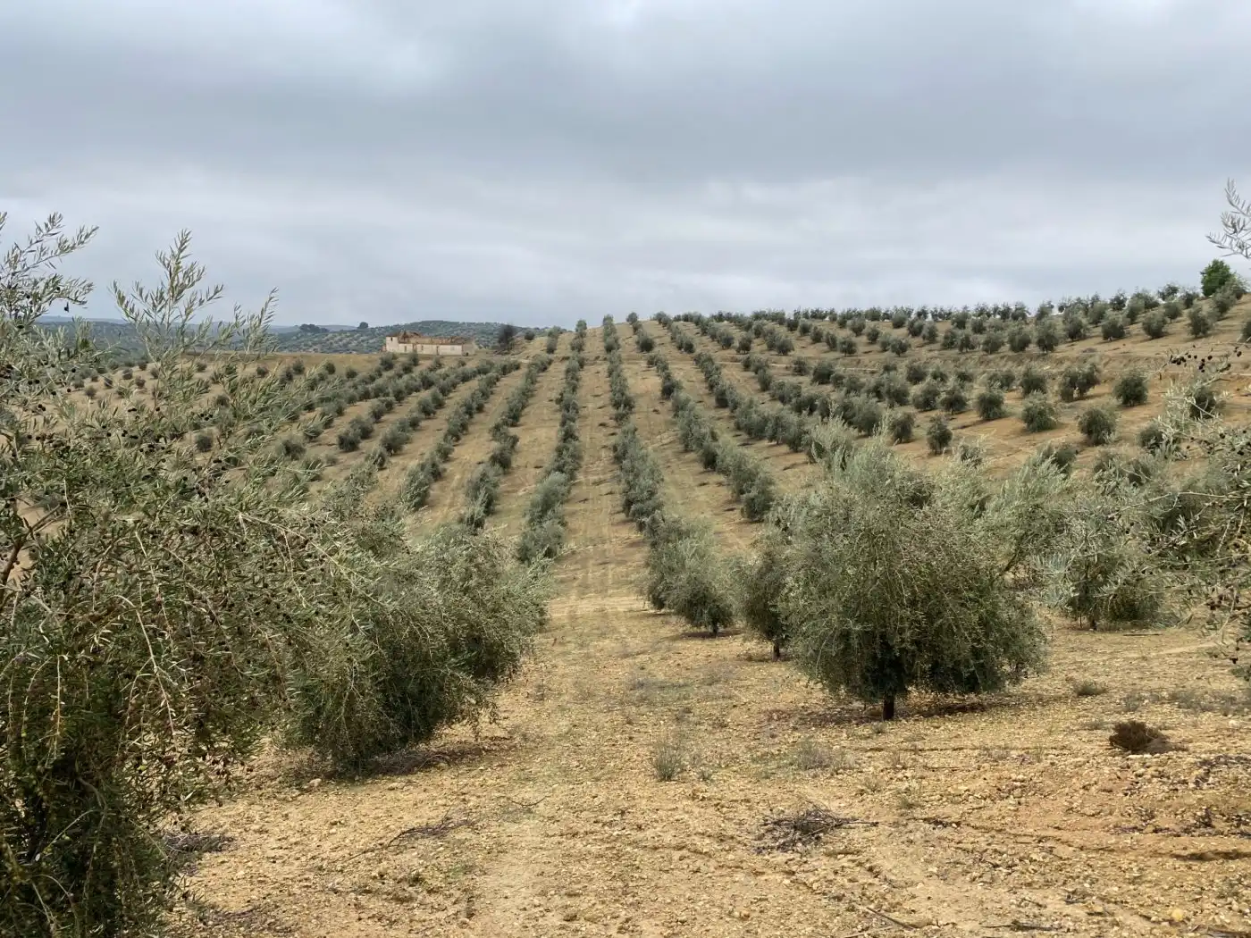 Casa rustica in vendita a Huétor Tájar, imagen 6