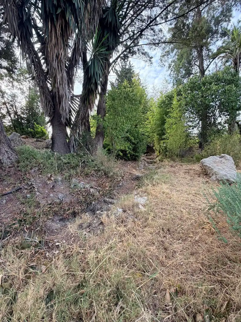 Villa avec piscine à vendre à Albaida, imagen 44
