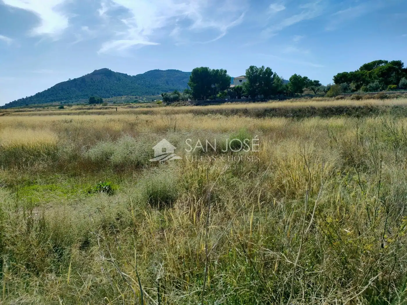 Terreny rústic en venda a La Romana