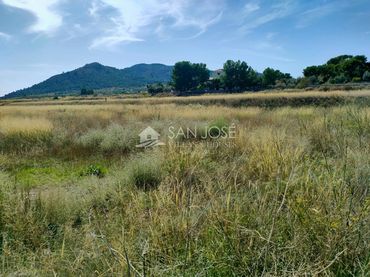 Terreny rústic en venda a La Romana