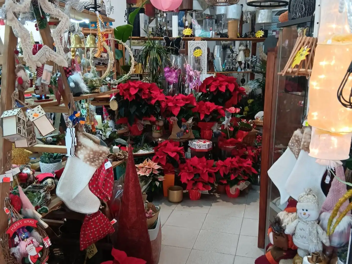 Local comercial en traspaso en Passeig Arbres 1, imagen 8