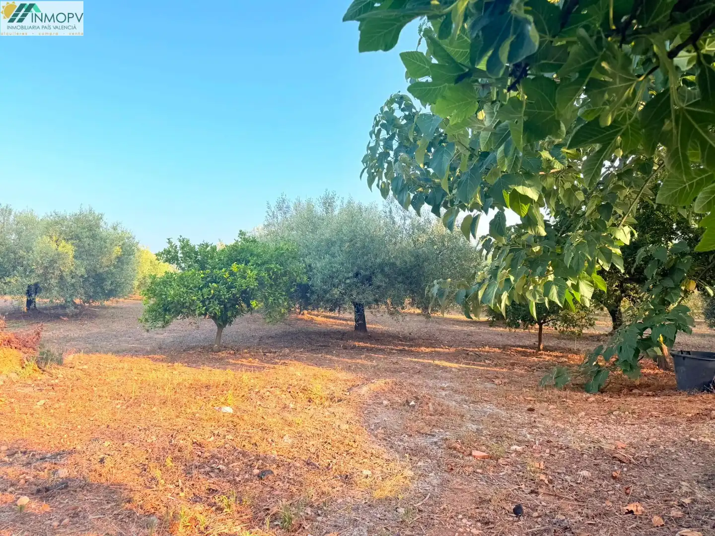 Finca rústica en venda en Alcanar amb Aire condicionat, Jardí privat i Terrassa