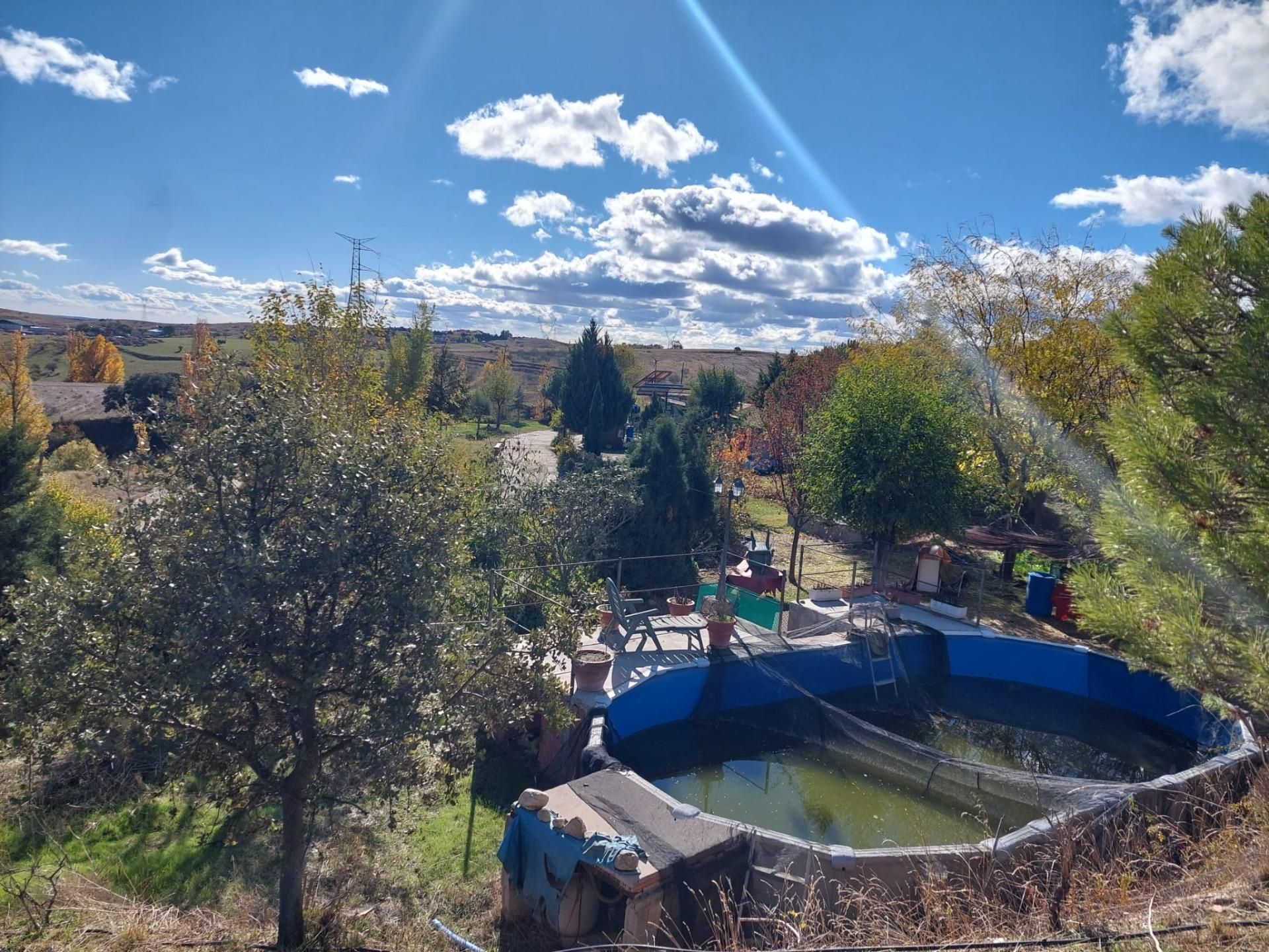 Garden of House or chalet for sale in El Molar (Madrid)  with Heating, Private garden and Swimming Pool