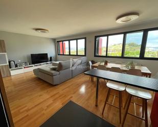 Living room of Duplex to rent in Noáin (Valle de Elorz) / Noain (Elortzibar)  with Heating, Parquet flooring and Furnished