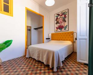 Apartment to share in El Carme