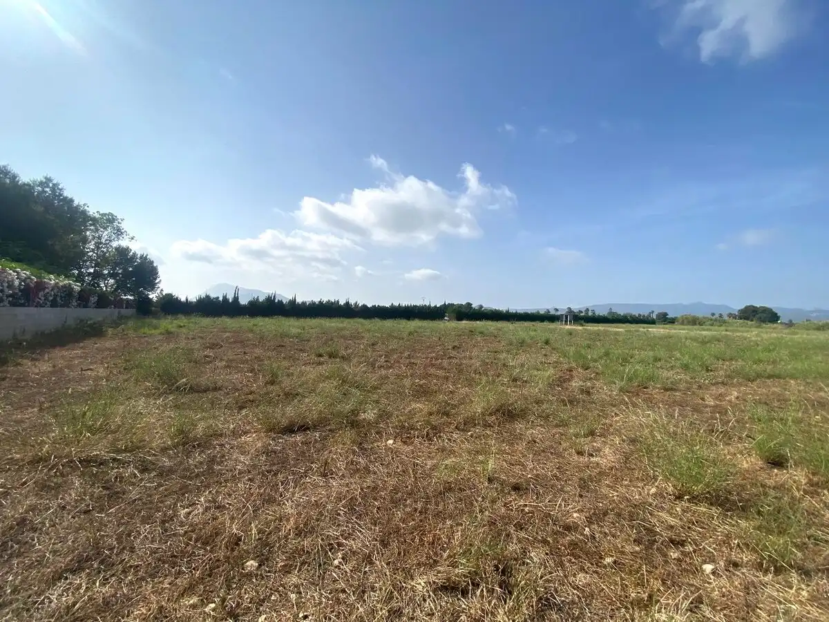 Lands and plots for sale in Els Poblets, imagen 4