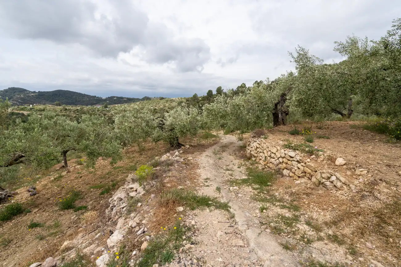 Terreno en venta en Tortosa