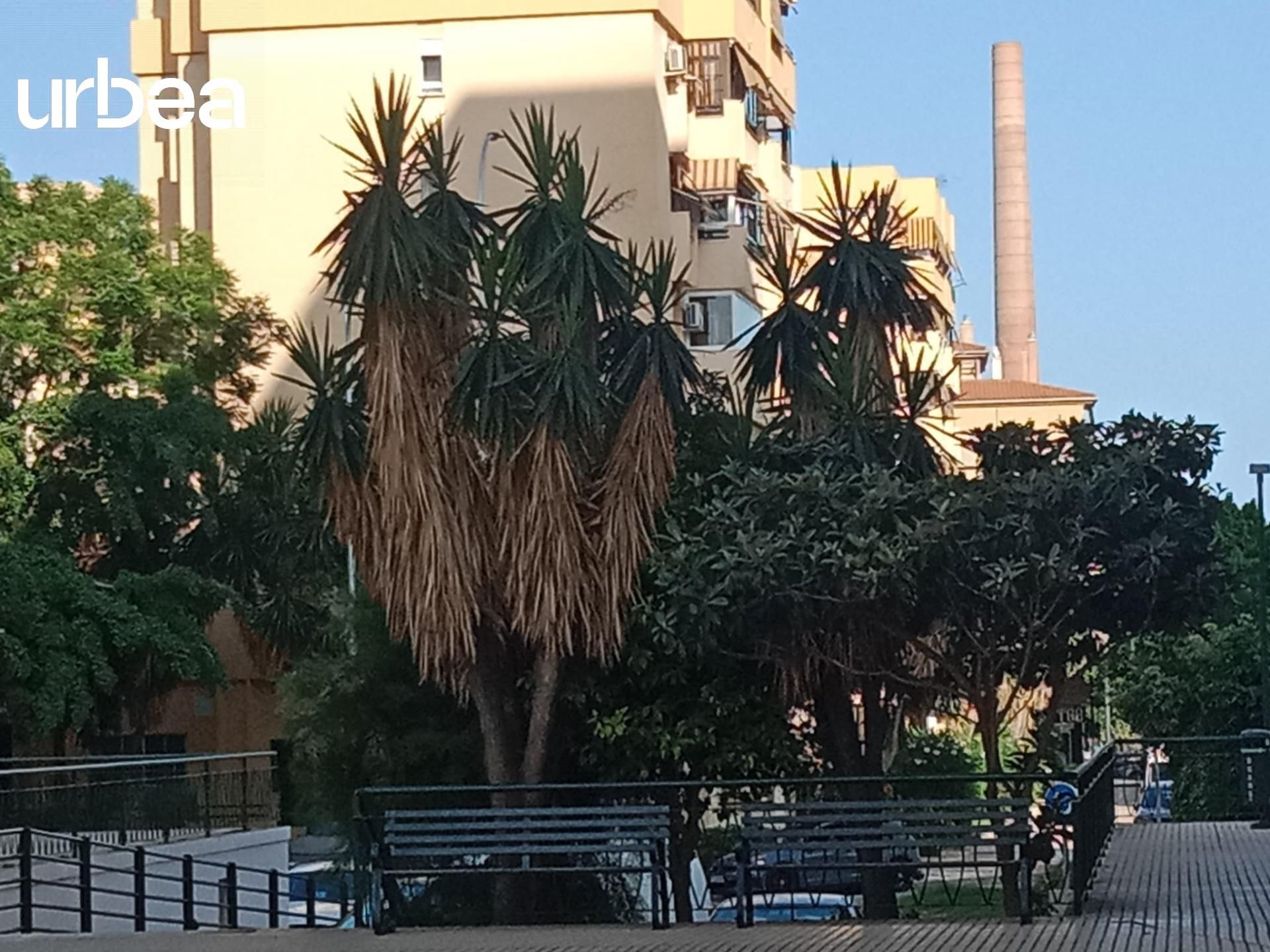 Exterior view of Flat for sale in Málaga Capital  with Private garden, Terrace and Alarm