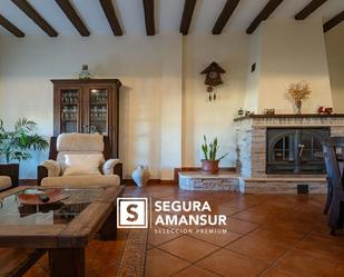 Living room of House or chalet for sale in Villarrasa  with Air Conditioner and Swimming Pool