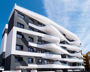 Vista exterior de Pis en venda en Torrevieja amb Aire condicionat i Terrassa