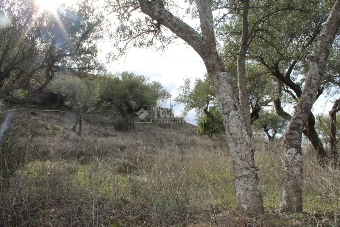 Terreno residenziale in vendita a Santorcaz, imagen 7