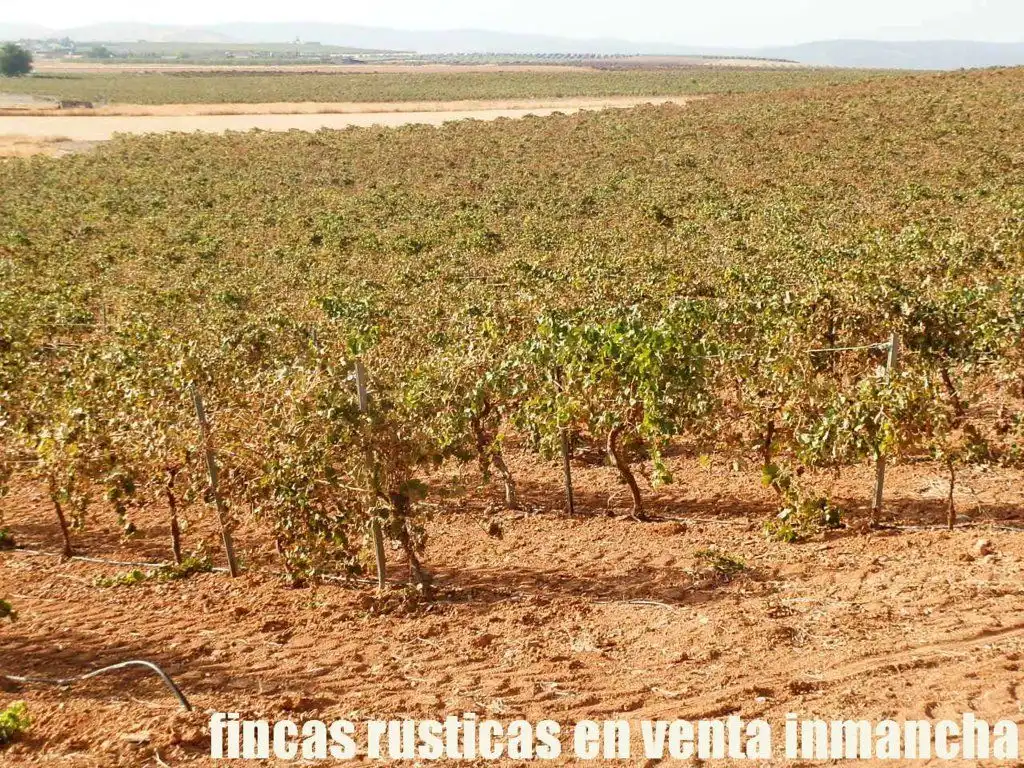 Terrenys i solars en venda a Almagro, imagen 5