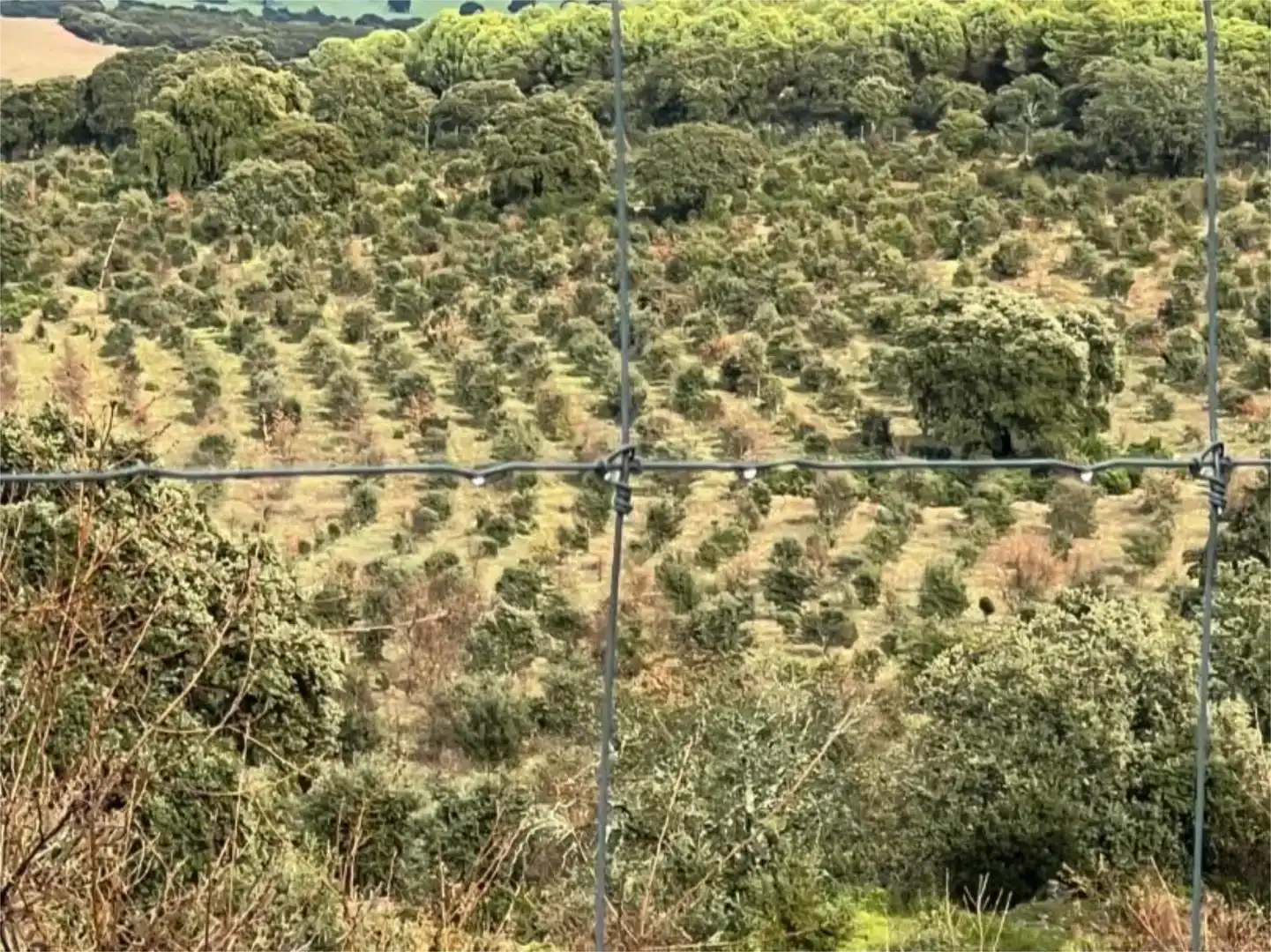 Piso en venta en Piedrabuena