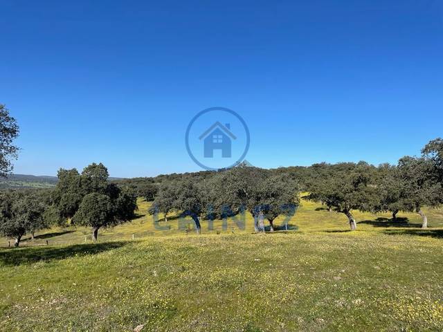 Terreno residencial en Venta en Espiel