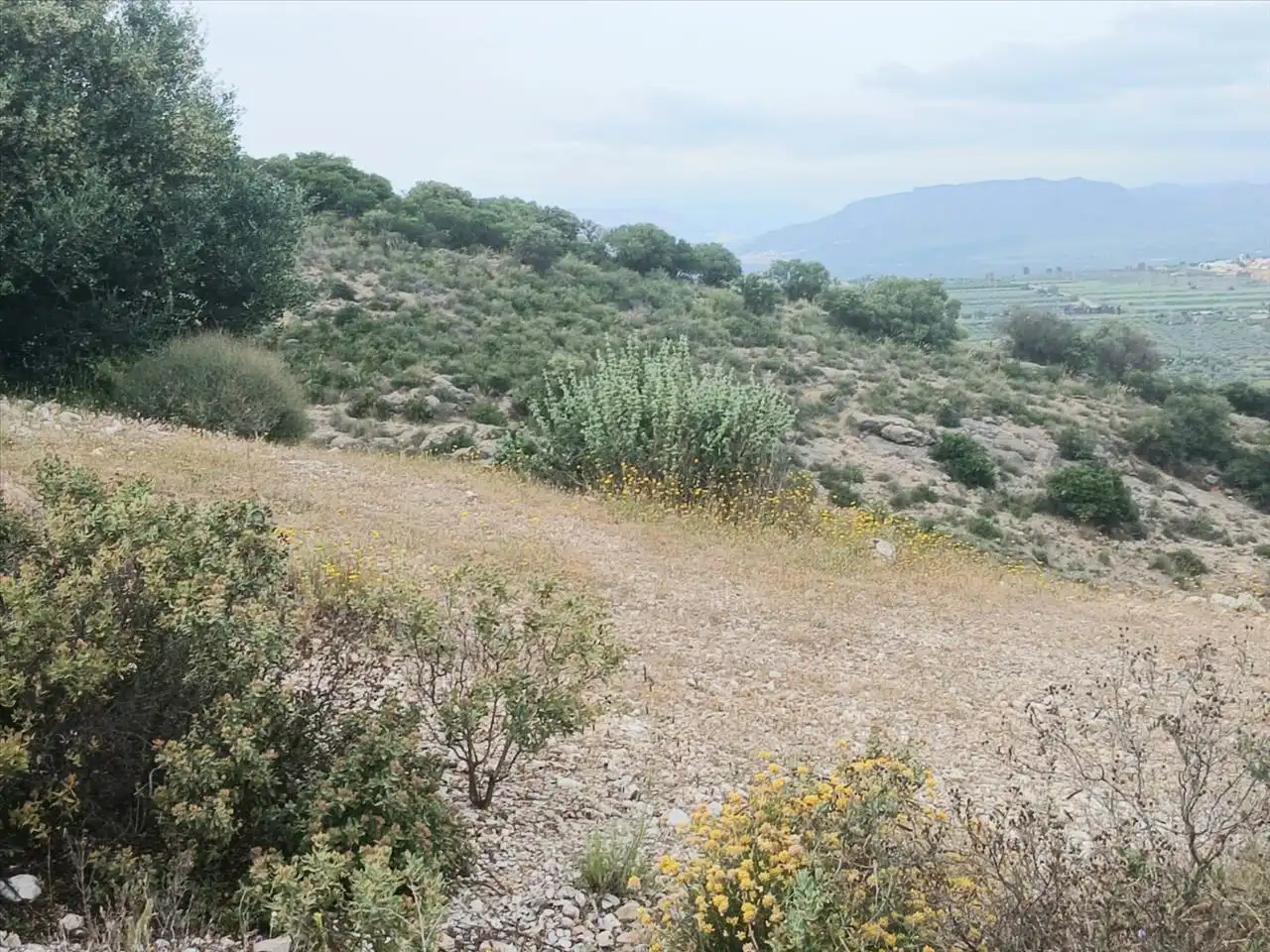 Terreni e lotti in vendita a Sierra Gorda, imagen 15