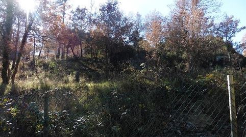 TERRENO VENTA LES GUILLERIES  VILADRAU, immagine 3