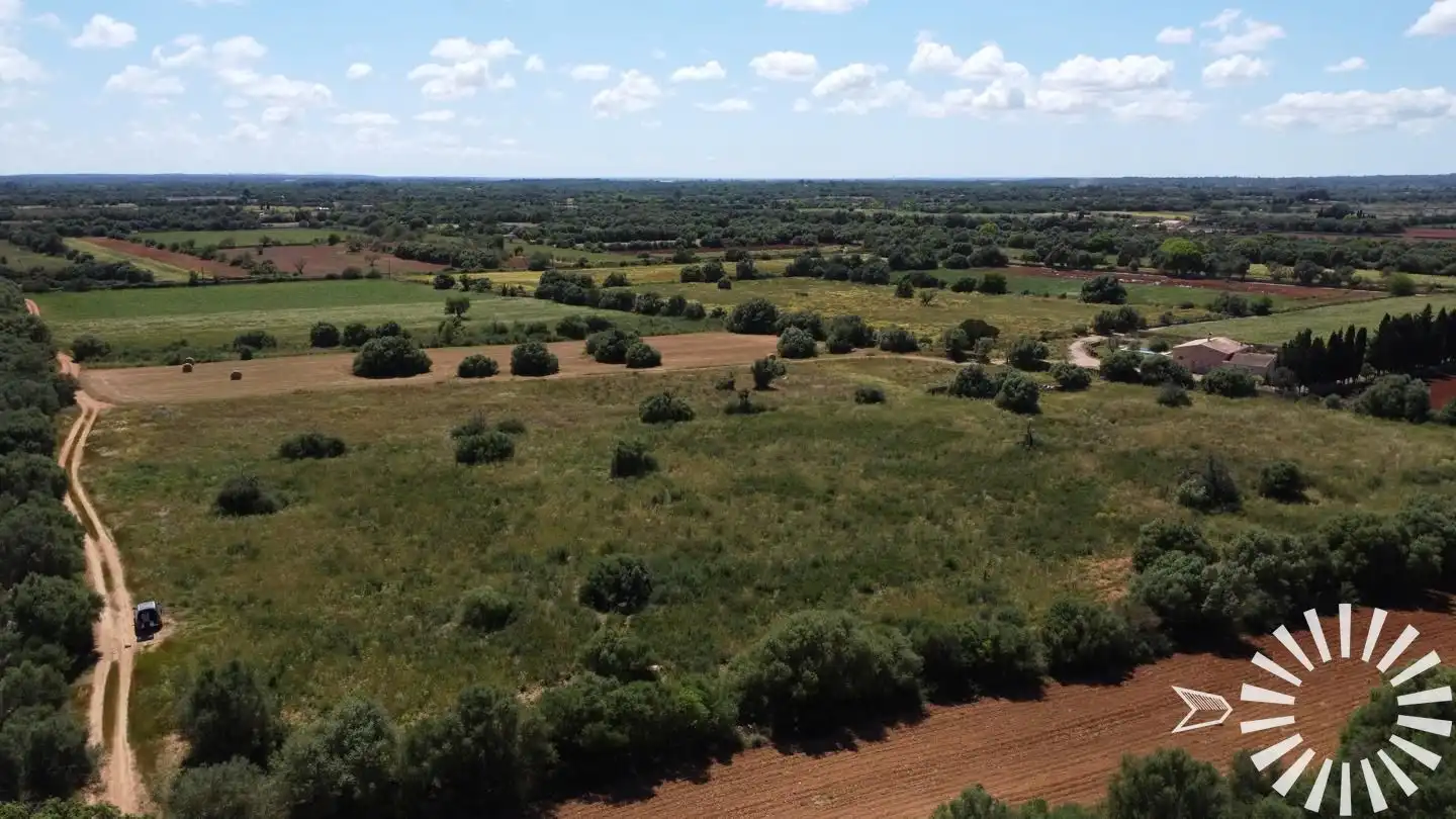 Rural land for sale in Pologino 3 Parcela 107, imagen 25
