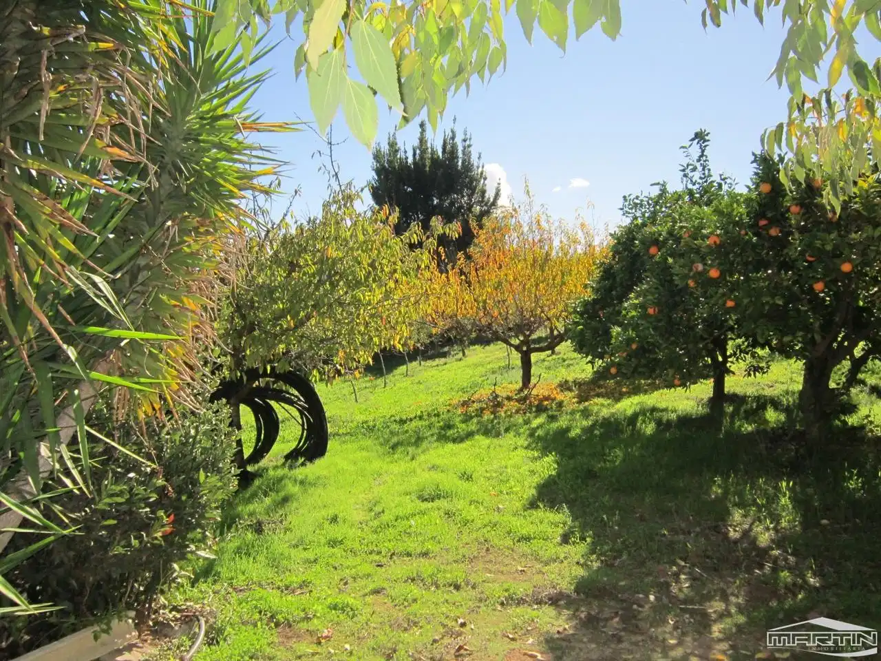 Jardí de Casa o xalet en venda en Carcabuey amb Terrassa, Traster i Piscina
