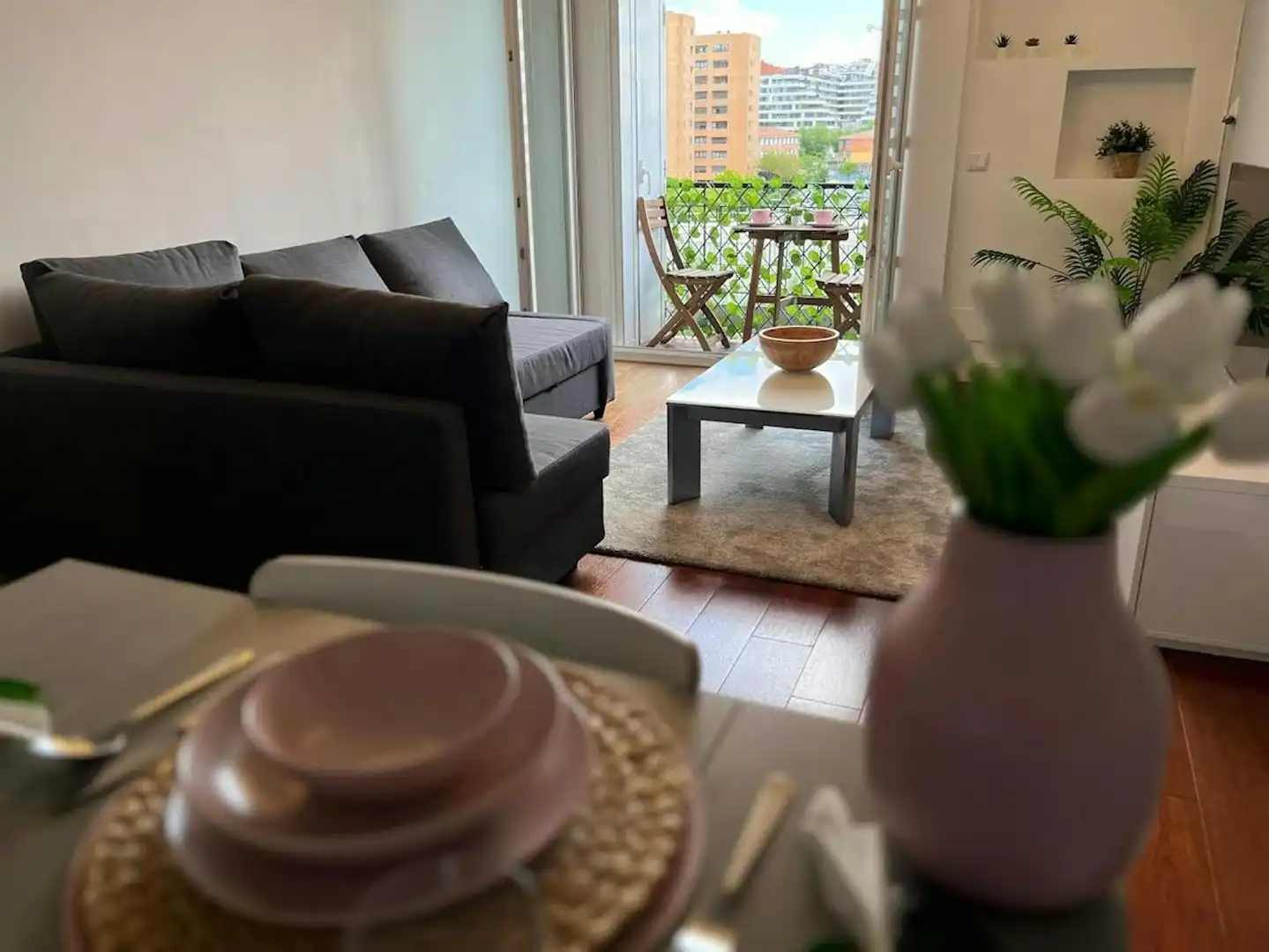 Sala d'estar de Pis de lloguer en Madrid amb Aire condicionat, Calefacció i Jardí privat