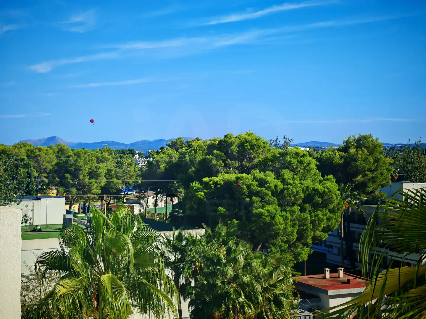 Piso con piscina en venta en Port d'Alcúdia - Platja d'Alcúdia, imagen 5