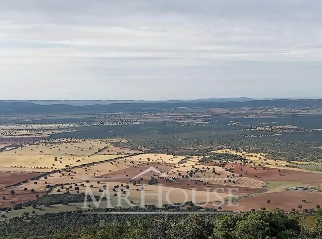 Terreni e lotti in vendita a Los Yébenes, imagen 7