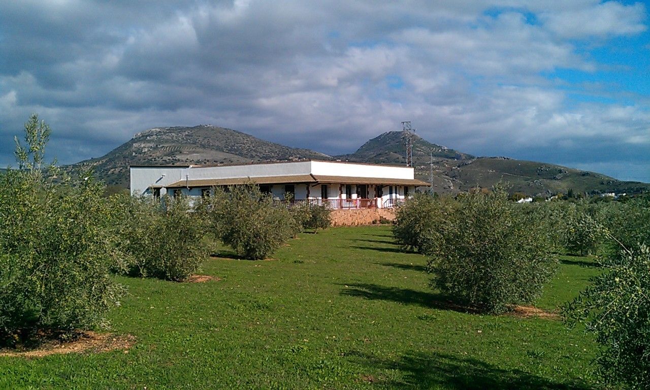 Vista exterior de Finca rústica en venda en Villanueva de Tapia