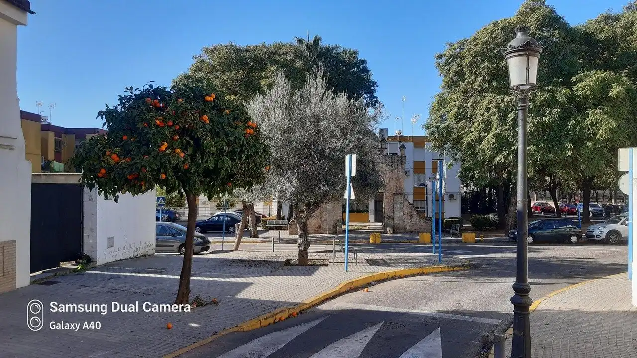 Terreni e lotti in vendita a Calle Zurraque, imagen 9