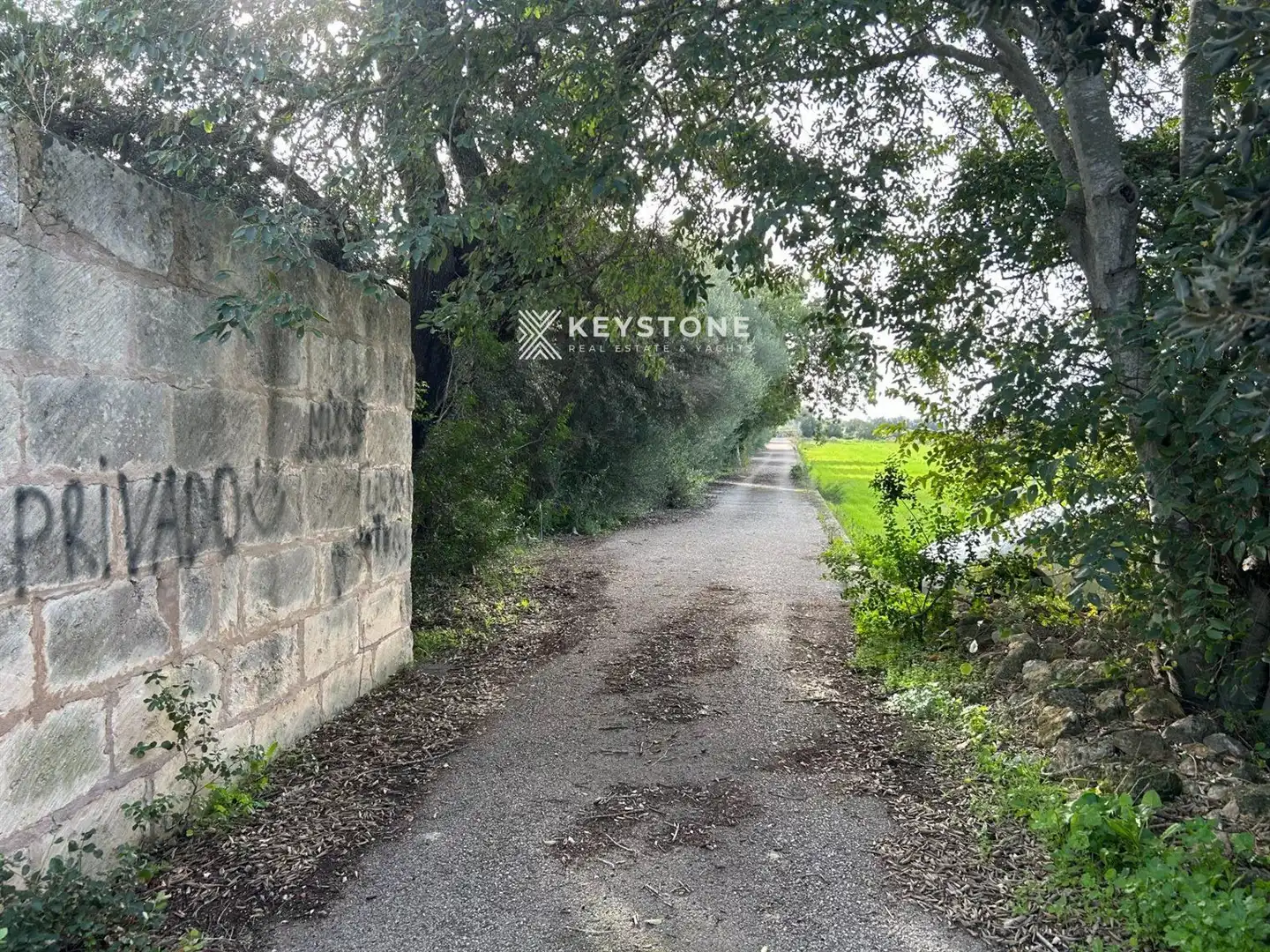 Rural land for sale in Muro, imagen 7