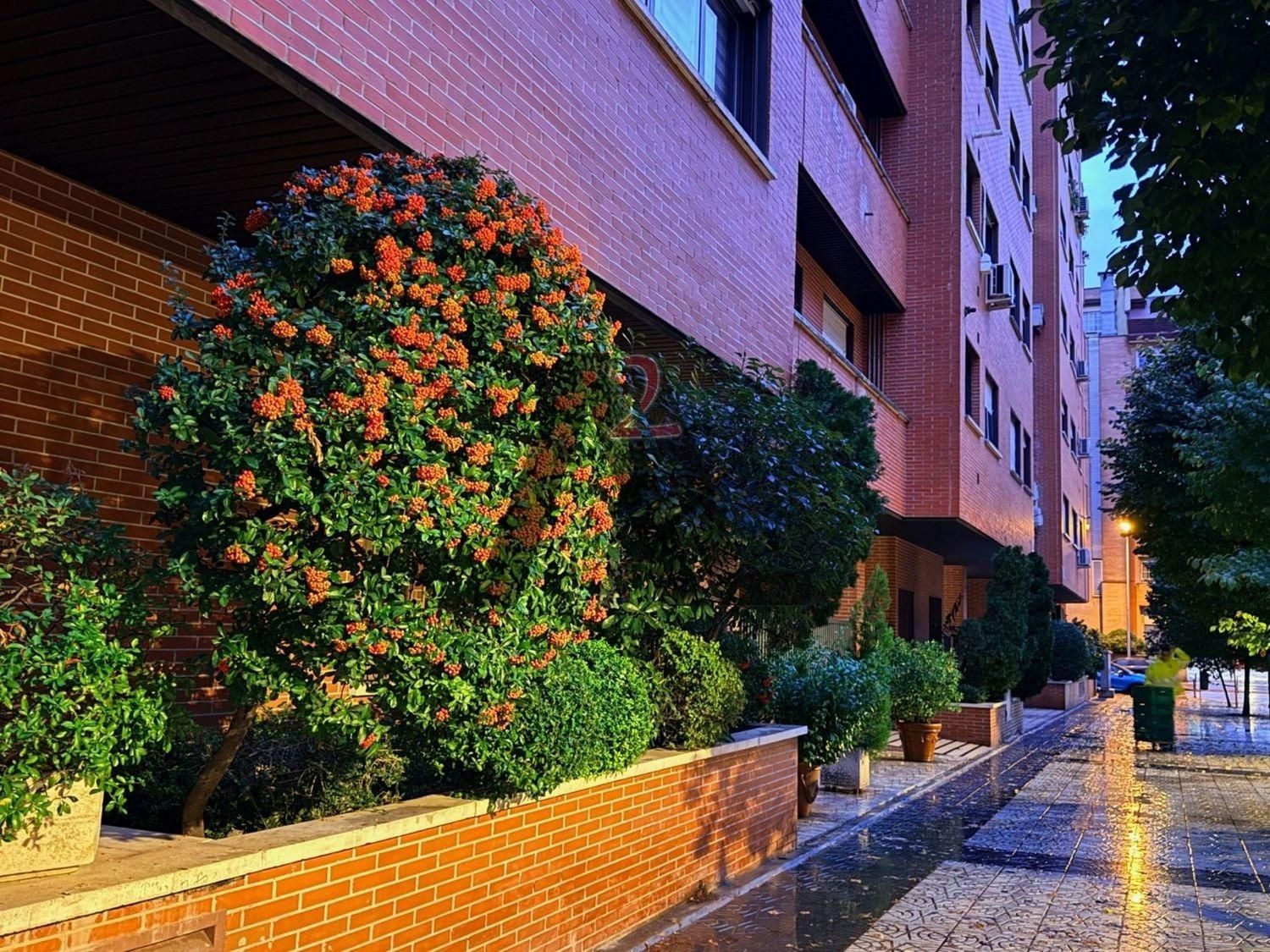 Exterior view of Apartment to rent in  Madrid Capital  with Air Conditioner and Community pool