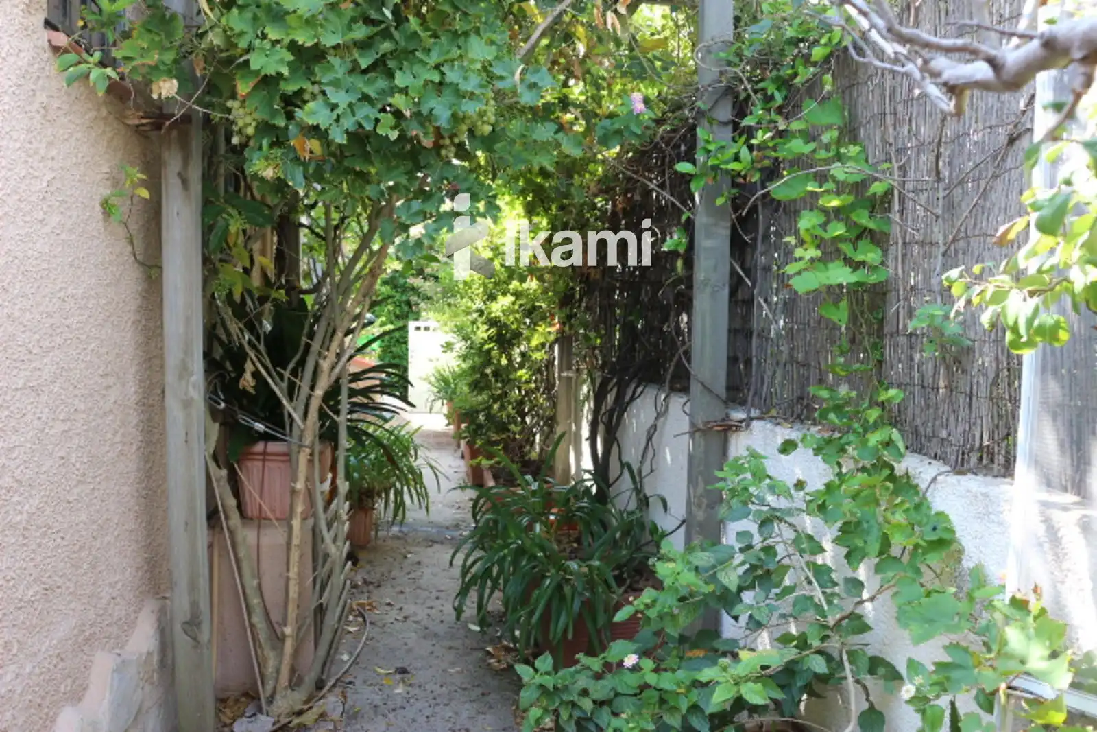 Houses for sale in Oliva Playa