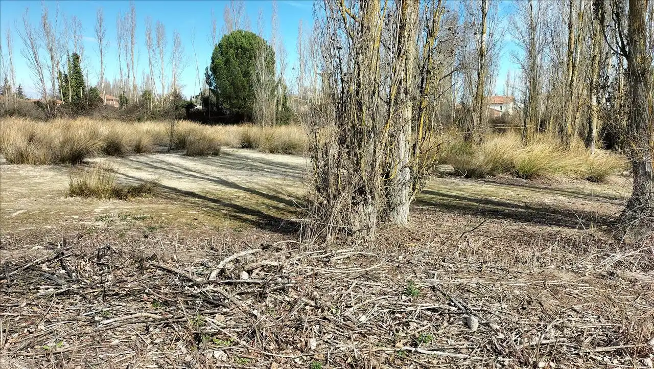 Residential land for sale in PALOMA, imagen 16