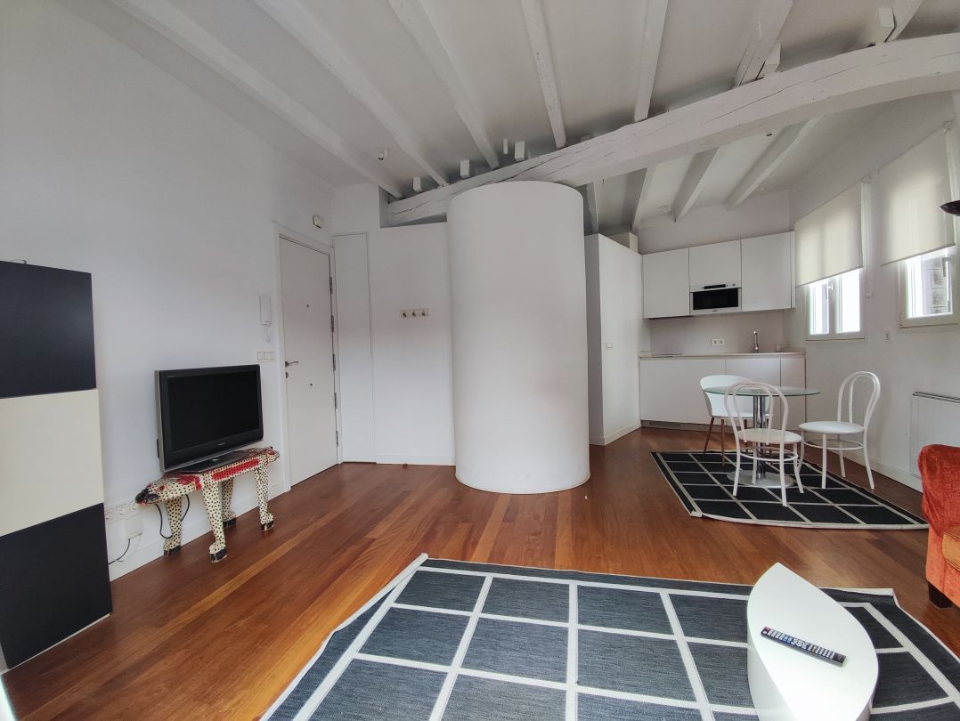 Sala d'estar de Pis de lloguer en Donostia - San Sebastián  amb Calefacció