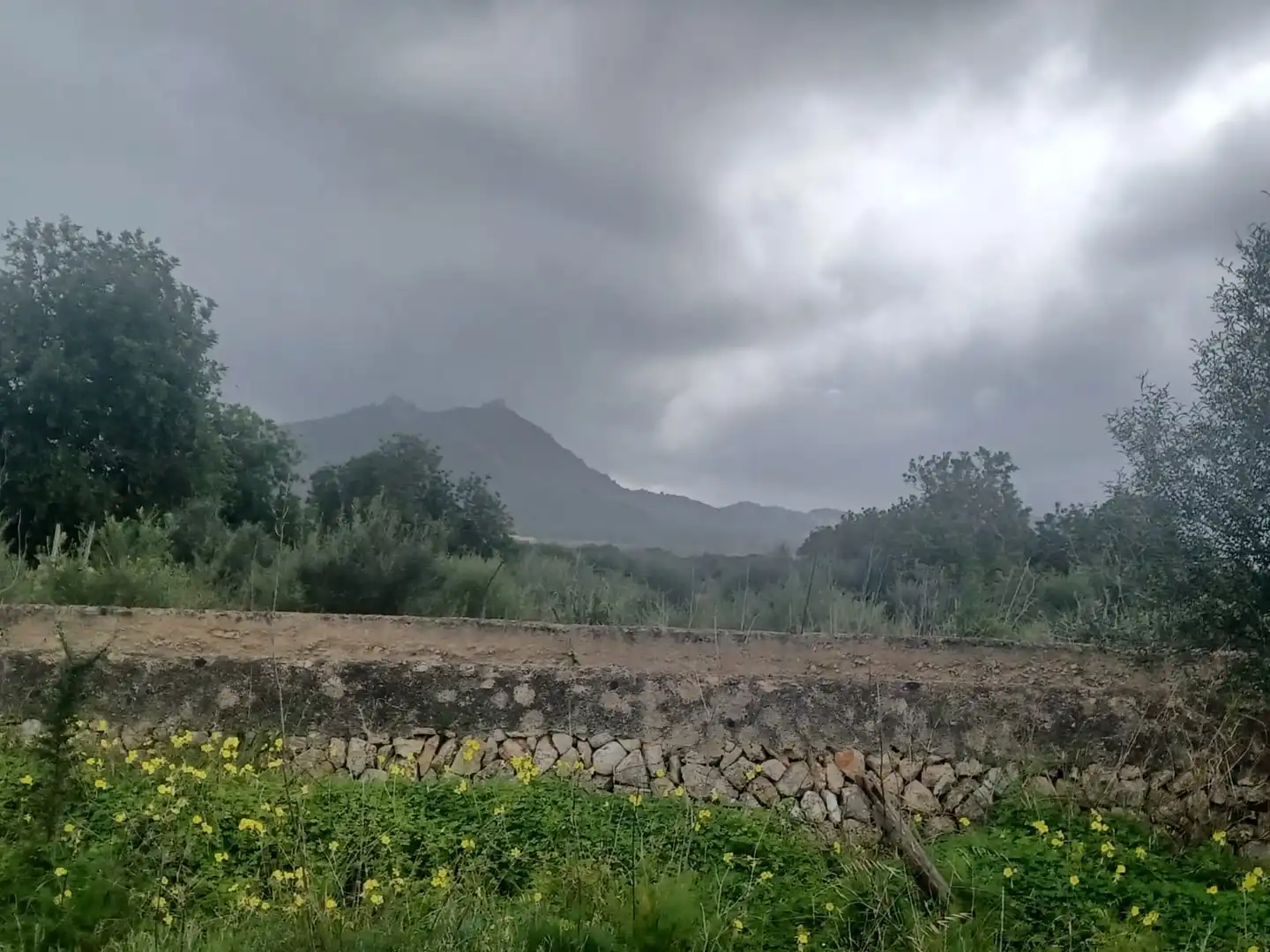 Rural land for sale in Felanitx Poble, imagen 2