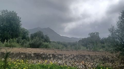 Foto 2 de Terreno en venta en Felanitx Poble, Felanitx