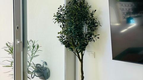 Photo 4 of Single-family semi-detached to rent in Calle del Albatros, Cabo de las Huertas, Alicante