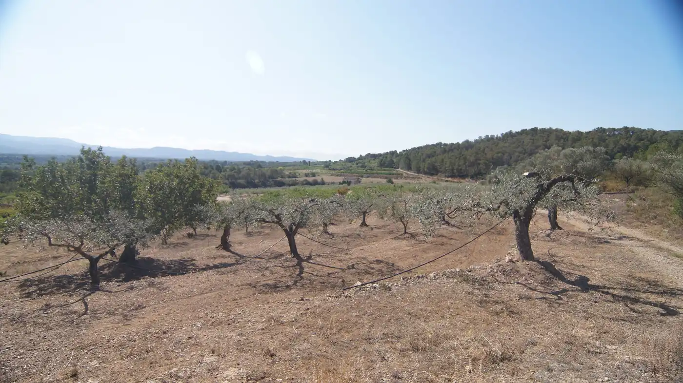 Finca rústica en venda a Miravet