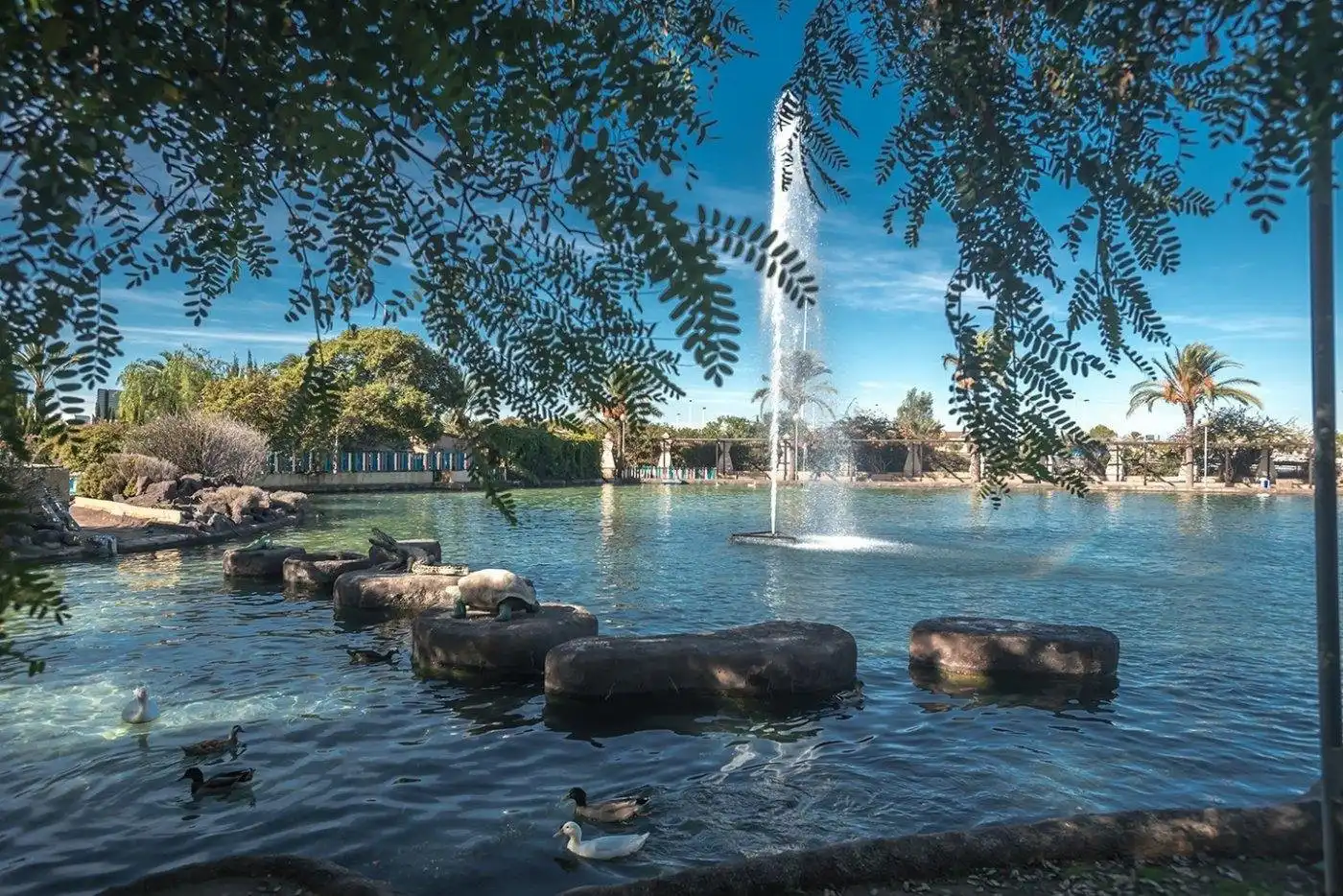 Apartamento con piscina en venta en N/A, imagen 38